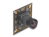DeLOCK 12069 webcam 2,1 MP 1920 x 1080 pixel USB 2.0 Sort