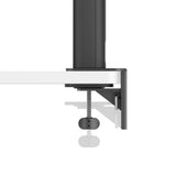 BenQ RD280UA computerskærm 71,6 cm (28.2") 3840 x 2560 pixel 4K Ultra HD Sort