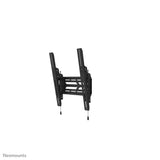 Neomounts WL35S-950BL19 tv-beslag 2,92 m (115") Sort