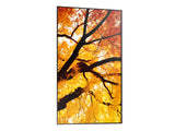 Sharp MultiSync M502 Digital fladpaneldisplay 127 cm (50") LCD 550 cd/m² 4K Ultra HD Sort 24/7