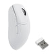 Keychron M2 mus Universel Højre hånd RF Wireless + Bluetooth + USB Type-C Optisk 30000 dpi
