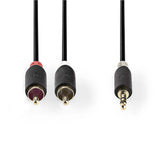 Nedis CABW22200AT10 lydkabel 1 m 3.5mm 2 x RCA Anthracit