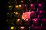 Steelseries APEX 3 TKL tastatur Spil USB QWERTY US engelsk Sort