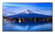 Sharp P506 Digital fladpaneldisplay 127 cm (50") 700 cd/m² Sort 24/7