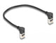 DeLOCK 80279 netværkskabel Sort 0,25 m Cat6a S/FTP (S-STP)