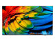Philips 50HFL6214U 127 cm (50") 4K Ultra HD Smart TV Wi-Fi Anthracit 400 cd/m² Rullevisning