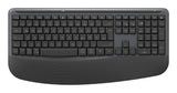 Logitech Signature Comfort Plus Combo MK880 tastatur Mus inkluderet Universel RF trådløs + Bluetooth QWERTZ Tysk Grafit