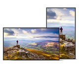 Sharp PN-E439 Digital fladpaneldisplay 109,2 cm (43") LCD 350 cd/m² 4K Ultra HD Sort 16/7