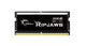 G.Skill Ripjaws F5-5600S4645A32GX1-RS hukommelsesmodul 32 GB 1 x 32 GB DDR5 5600 MT/s 262-pin SO-DIMM