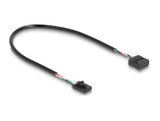 DeLOCK 61100 interface-kort/adapter Intern USB 2.0 header - 9 pin