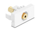 DeLOCK 90841 stikkontakt 2 x 3.5mm Hvid