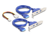 DeLOCK 61066 interface-kort/adapter Intern USB 3.2 Gen 1 (3.1 Gen 1)