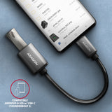 Axagon RUCM-AFAC kabel kønsskifter USB C USB A Grå