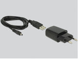 DeLOCK 62976 netværkskort Ethernet 100 Mbit/s