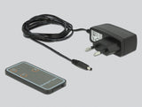 DeLOCK 87750 video-switch DisplayPort