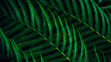 Philips 5000 series 27B2G5500/00 computerskærm 68,6 cm (27") 2560 x 1440 pixel Quad HD LCD Anthracit