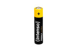 Intenso 7501814 husholdningsbatteri Engangsbatteri AAA Alkaline