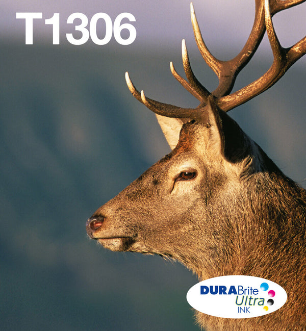 Epson Stag T1306 kronhjort DURABrite Ultra multipakke 3-farve blæk EasyMail Ink
