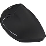 Inter-Tech KM-206R mus Kontor Ambidextrous RF trådløst Optisk 1600 dpi