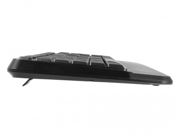 DeLOCK 12674 tastatur Mus inkluderet Universel RF trådløst QWERTZ Tysk Sort