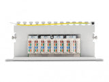 DeLOCK 66871 patch panel 0.5U