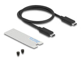 DeLOCK 42025 drevkabinet SSD kabinet Grå M.2