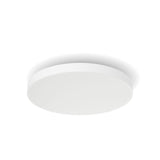 Philips Hue White and Color ambiance Datura loftslampe, lille