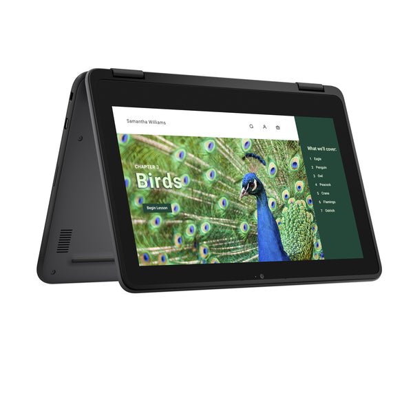 DELL Chromebook 3120 2-in-1 Intel® N N100 29,5 cm (11.6") Berøringsskærm HD 4 GB LPDDR5-SDRAM 64 GB eMMC Wi-Fi 6 (802.11ax) ChromeOS Sort Nordisk