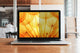 3M BP141W1B antirefleks skærm 35,8 cm (14.1") Laptop Rammeløst display privatlivsfilter