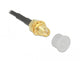 DeLOCK 60163 dækning af sokkel SMA plug Transparent 10 stk