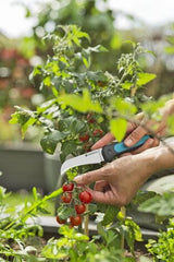 Gardena VeggieCut beskæringssaks Sort, Grøn