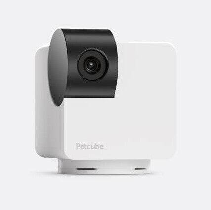 Petcube Cam 360 Kasse IP-sikkerhedskamera Indendørs 1920 x 1080 pixel Skrivebord