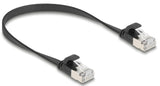 DeLOCK 81161 netværkskabel Sort 0,25 m Cat6a U/FTP (STP)