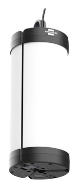 Brennenstuhl 1173740012 lommelygte Sort, Hvid Universel lommelygte LED