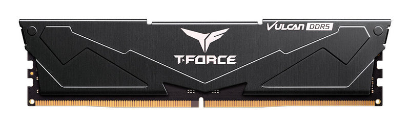 Team Group FLBD516G6000HC38A01 hukommelsesmodul 16 GB 1 x 16 GB DDR5 288-pin DIMM Fejlkorrigerende kode