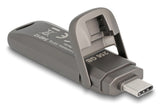 DeLOCK 54012 USB-nøgle 256 GB USB Type-C Grå