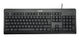 TERRA 1500 tastatur Mus inkluderet Kontor USB QWERTZ Fransk Sort