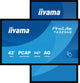 iiyama T4329AS-B1AG computerskærm 108 cm (42.5") 3840 x 2160 pixel 4K Ultra HD LED Berøringsskærm Sort