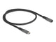 DeLOCK 80021 USB-kabel USB 3.2 Gen 2 (3.1 Gen 2) 0,5 m USB C 10 Gbit/sek. 100 W Sort