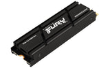 Kingston Technology 4000G RENEGADE PCIe 4.0 NVMe SSD M/HEATSINK