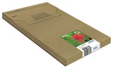Epson Strawberry C13T29964511 blækpatron 1 stk Original High (L) Yield Sort, Blå, Magenta, Gul