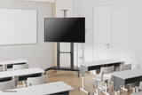 Neomounts PLASMA-M1950E multimedie vogn & stand Sort