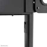 Neomounts NS-M1250BLACK multimedie vogn & stand Sort