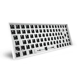 Sharkoon SKILLER SGK50 S3 tastatur Spil USB Nej Hvid