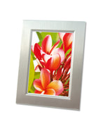 Avery Premium Inkjet Fotopapier printpapir A4 (210x297 mm) Højglans 20 ark Hvid