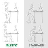 Leitz Ergo Cosy Active Sid-stå balancestol 2 i 1
