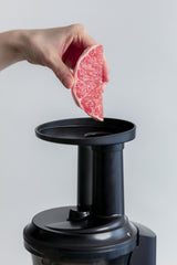 Panasonic MJ-L501 Slow juicer 150 W Sort