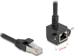 DeLOCK 81040 netværkskabel Sort 0,25 m Cat6 F/UTP (FTP)