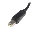 StarTech.com USB2HAB1M USB-kabel USB 2.0 1 m USB A USB B 0,48 Gbit/sek. Sort