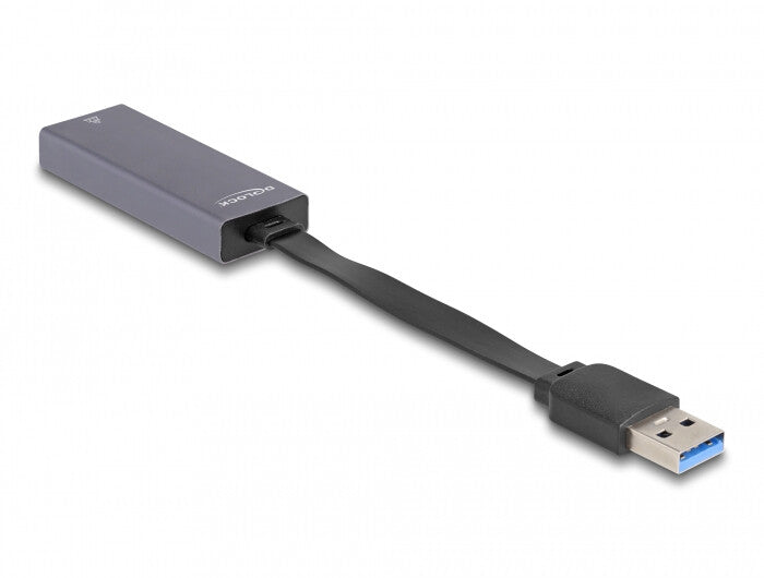 DeLOCK 66247 kabel kønsskifter RJ-45 USB A Grå